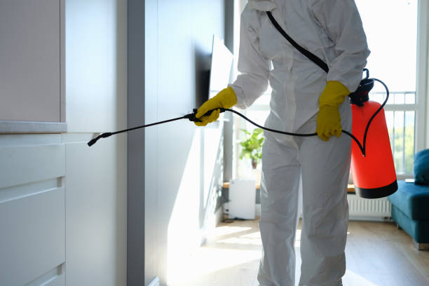 Best Insurance-Related Mold Remediation in Red Bank, TN
